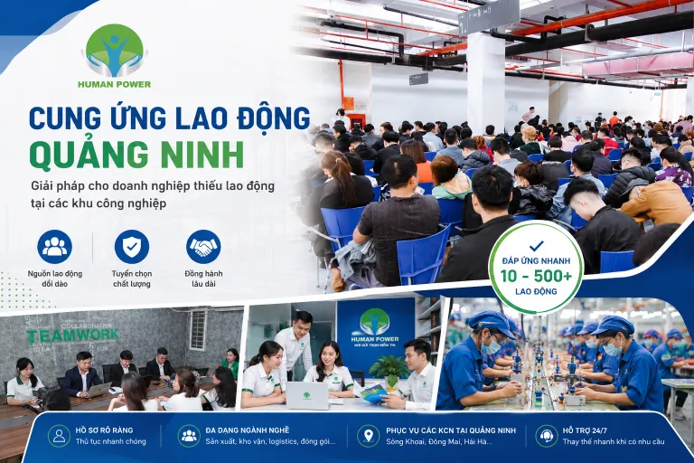 Sản phẩm f82daabd bcb4 43e0 b95e ebf6e597668d 768x512 — Công Ty TNHH Cung ứng Lao Động Human Power — MST 3702806484
