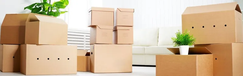 Sản phẩm 831081718192557vi0thumb1366x500 1730368066 — Bao Bì Carton Liên Phát - Công Ty TNHH Bao Bì Liên Phát — MST 3702811565