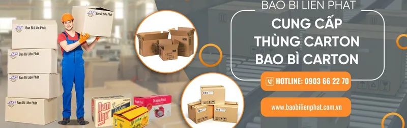 Sản phẩm 997857916954519vi0thumb1366x500 1730368095 — Bao Bì Carton Liên Phát - Công Ty TNHH Bao Bì Liên Phát — MST 3702811565