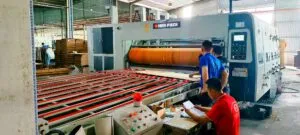 Sản phẩm 1408f97030d79c89c5c6 300x135 — Công Ty TNHH Sản Xuất Thương Mại Bao Bì Kiên Long — MST 3702811773