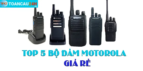 Sản phẩm 16648710635g3MjISmTf — Công Ty TNHH Xuất Khẩu ứng Dụng Công Nghệ Toàn Cầu — MST 3702825688