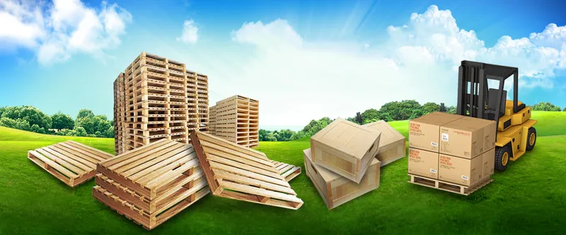 Sản phẩm anh go 77s — Pallet Thuận Phát - Công Ty TNHH Pallet Gỗ Thuận Phát — MST 3702828978