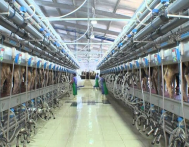 Sản phẩm 15eb3cae8cf3b85d9de2fcbbdb1475d4 3064.jpg — Cơ Khí Công Nghiệp Thiên Ân Phát - Công Ty TNHH Kỹ Thuật Cơ Khí Thiên Ân Phát — MST 3702850733