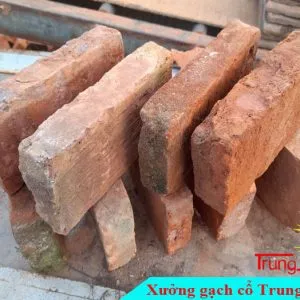 Sản phẩm Gach the co nguyen vien do 300x300 — Công Ty TNHH Vật Liệu Giá Sỉ Trung Sơn — MST 3702854375