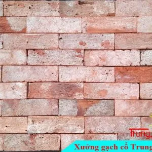 Sản phẩm gach co bia 620BC01 300x300 — Công Ty TNHH Vật Liệu Giá Sỉ Trung Sơn — MST 3702854375
