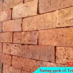 Sản phẩm gach co bia 7x20 do 300x300 — Công Ty TNHH Vật Liệu Giá Sỉ Trung Sơn — MST 3702854375