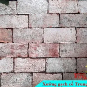 Sản phẩm gach co bia cam 10x20 300x300 — Công Ty TNHH Vật Liệu Giá Sỉ Trung Sơn — MST 3702854375
