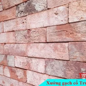 Sản phẩm gach co bia cam 620BC01 300x300 — Công Ty TNHH Vật Liệu Giá Sỉ Trung Sơn — MST 3702854375