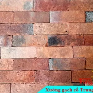 Sản phẩm gach co bia do 620BD01 300x300 — Công Ty TNHH Vật Liệu Giá Sỉ Trung Sơn — MST 3702854375