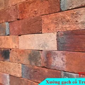 Sản phẩm gach co bia do 6x20 300x300 — Công Ty TNHH Vật Liệu Giá Sỉ Trung Sơn — MST 3702854375