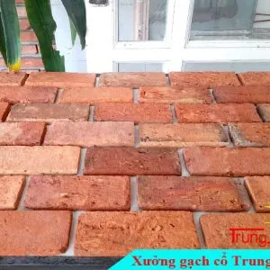 Sản phẩm gach co bia do 720 BD01 300x300 — Công Ty TNHH Vật Liệu Giá Sỉ Trung Sơn — MST 3702854375