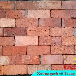 Sản phẩm gach co bia do 7x20 BD02 300x300 — Công Ty TNHH Vật Liệu Giá Sỉ Trung Sơn — MST 3702854375