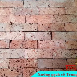 Sản phẩm gach co mat ruot 620RC01 300x300 — Công Ty TNHH Vật Liệu Giá Sỉ Trung Sơn — MST 3702854375