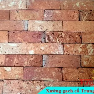 Sản phẩm gach co mat ruot 620RD01 300x300 — Công Ty TNHH Vật Liệu Giá Sỉ Trung Sơn — MST 3702854375