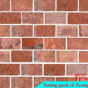 Sản phẩm gach co op tuong bia do 10x20 300x300 — Công Ty TNHH Vật Liệu Giá Sỉ Trung Sơn — MST 3702854375
