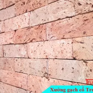 Sản phẩm gach co ruot 620RC01 300x300 — Công Ty TNHH Vật Liệu Giá Sỉ Trung Sơn — MST 3702854375