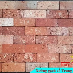 Sản phẩm gach co ruot 720RD01 300x300 — Công Ty TNHH Vật Liệu Giá Sỉ Trung Sơn — MST 3702854375