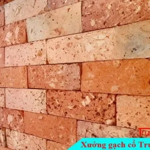 Sản phẩm gach co ruot 7x20 do dam 300x300 — Công Ty TNHH Vật Liệu Giá Sỉ Trung Sơn — MST 3702854375