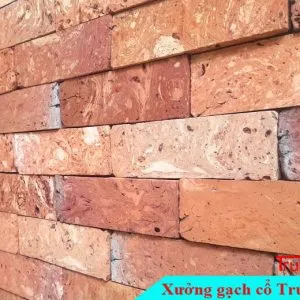 Sản phẩm gach co ruot do cam 620RD01 300x300 — Công Ty TNHH Vật Liệu Giá Sỉ Trung Sơn — MST 3702854375