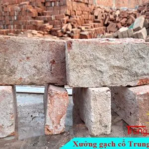 Sản phẩm gach co xay tuong 3 300x300 — Công Ty TNHH Vật Liệu Giá Sỉ Trung Sơn — MST 3702854375
