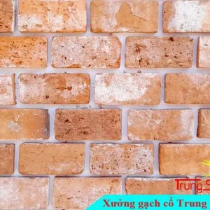 Sản phẩm op gach co bia cam 10x20 300x300 — Công Ty TNHH Vật Liệu Giá Sỉ Trung Sơn — MST 3702854375