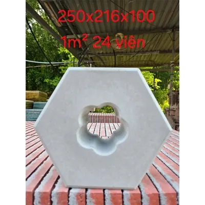 Sản phẩm gach luc giac 8858ba24 — Công Ty TNHH Huỳnh Tuấn Đạt — MST 3702860428