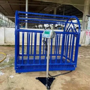 Sản phẩm z3472788706686_fbaa4b57a9a19f853b4e4c3460233563 300x300 — Công Ty TNHH Cân Điện Tử Đức Phát — MST 3702864091