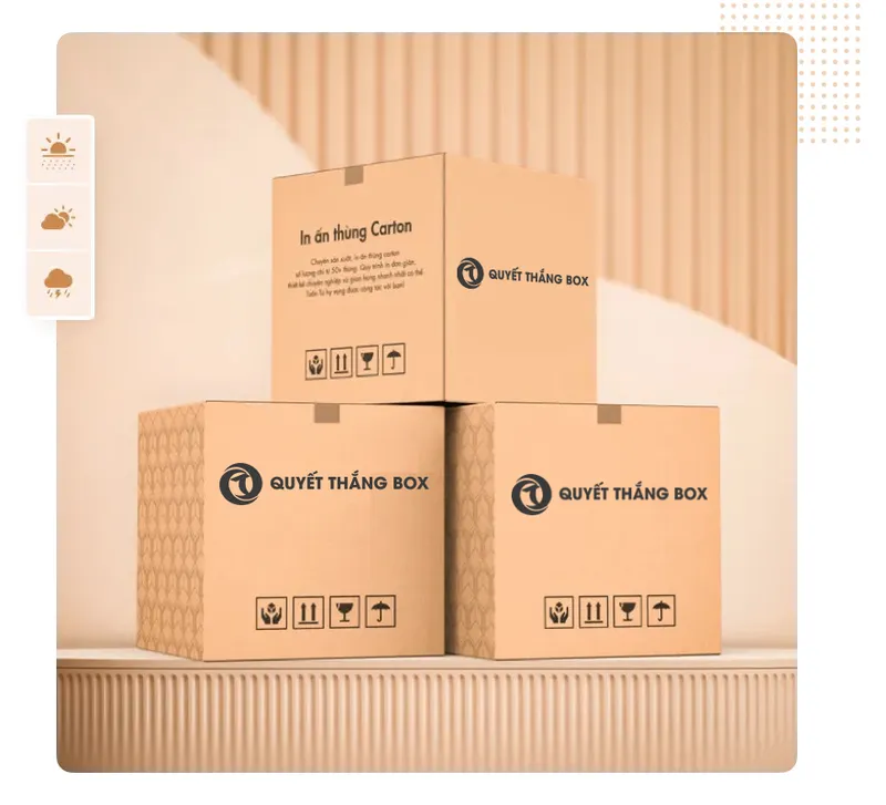Sản phẩm in an thung carton — Công Ty CP Sản Xuất Bao Bì Quyết Thắng — MST 3702864221