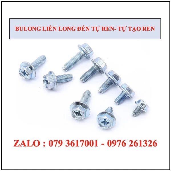 Sản phẩm Bulong lien long den tu ren  tu tao renfnl — Bulong ốc Vít Cường Thịnh - Công Ty TNHH Công Nghiệp Hóa Cường Thịnh — MST 3702868219