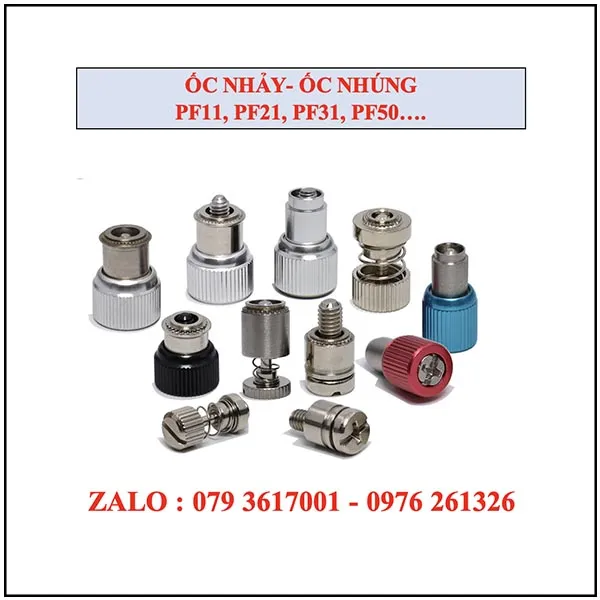 Sản phẩm Oc nhay   oc nhungfnl — Bulong ốc Vít Cường Thịnh - Công Ty TNHH Công Nghiệp Hóa Cường Thịnh — MST 3702868219