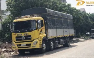 Sản phẩm cho thue xe tai thung_s1292 — Chi Nhánh Công Ty TNHH Vận Tải Danh Ngọc — MST 3702869117