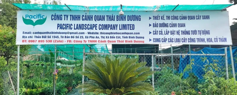 Sản phẩm cty 18590 — Công Ty TNHH Cảnh Quan Thái Bình Dương — MST 3702878425