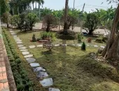 Sản phẩm 428bf48a9d2e6f70363f 5844 — Công Ty TNHH Cảnh Quan Thái Bình Dương — MST 3702878425