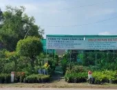 Sản phẩm 923f5429599292cccb83 8039 — Công Ty TNHH Cảnh Quan Thái Bình Dương — MST 3702878425