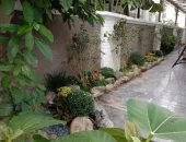 Sản phẩm 98cf37d38d087b562219 3379 — Công Ty TNHH Cảnh Quan Thái Bình Dương — MST 3702878425