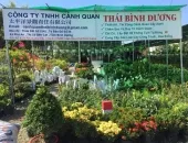Sản phẩm b9cc96070282f0dca993 8780 — Công Ty TNHH Cảnh Quan Thái Bình Dương — MST 3702878425