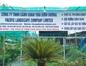Sản phẩm cty 1247 — Công Ty TNHH Cảnh Quan Thái Bình Dương — MST 3702878425