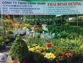 Sản phẩm f38466623d35cb6b9224 6457 — Công Ty TNHH Cảnh Quan Thái Bình Dương — MST 3702878425