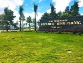 Sản phẩm f8b83e073b12ce4c9703 3129 — Công Ty TNHH Cảnh Quan Thái Bình Dương — MST 3702878425