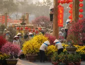 Sản phẩm geminigeneratedimager8dakzr8dakzr8da 5574 — Công Ty TNHH Cảnh Quan Thái Bình Dương — MST 3702878425