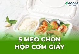 Sản phẩm 5 meo chon hop com giay 1779049447.jpg — Công Ty TNHH Ecore Việt Nam — MST 3702896110