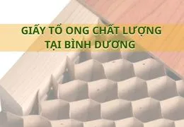 Sản phẩm giay to ong chat luong tai binh duong 1 5003.jpg — Công Ty TNHH Ecore Việt Nam — MST 3702896110