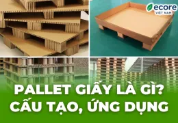 Sản phẩm pallet giay la gi 1774806465.jpg — Công Ty TNHH Ecore Việt Nam — MST 3702896110