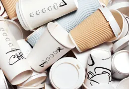 Sản phẩm papercups science gettyimages 918866470 1 1759886080.webp — Công Ty TNHH Ecore Việt Nam — MST 3702896110