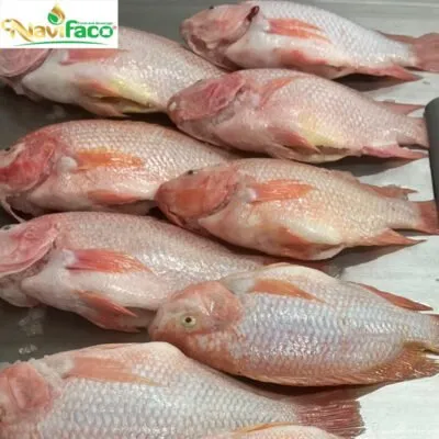 Sản phẩm ca dieu hong 400x400 — Nông Sản Ngân Việt Phát - Công Ty TNHH Đầu Tư Thương Mại Xuất Nhập Khẩu Ngân
Việt Phát — MST 3702903463