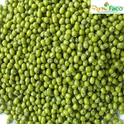 Sản phẩm dau xanh 400x400 — Nông Sản Ngân Việt Phát - Công Ty TNHH Đầu Tư Thương Mại Xuất Nhập Khẩu Ngân
Việt Phát — MST 3702903463