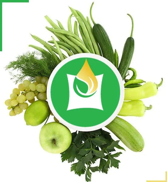 Sản phẩm gioi thieu dong tien ngan viet phat 2 — Nông Sản Ngân Việt Phát - Công Ty TNHH Đầu Tư Thương Mại Xuất Nhập Khẩu Ngân
Việt Phát — MST 3702903463