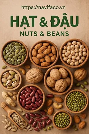 Sản phẩm Poster Hat Va Dau — Nông Sản Ngân Việt Phát - Công Ty TNHH Đầu Tư Thương Mại Xuất Nhập Khẩu Ngân
Việt Phát — MST 3702903463
