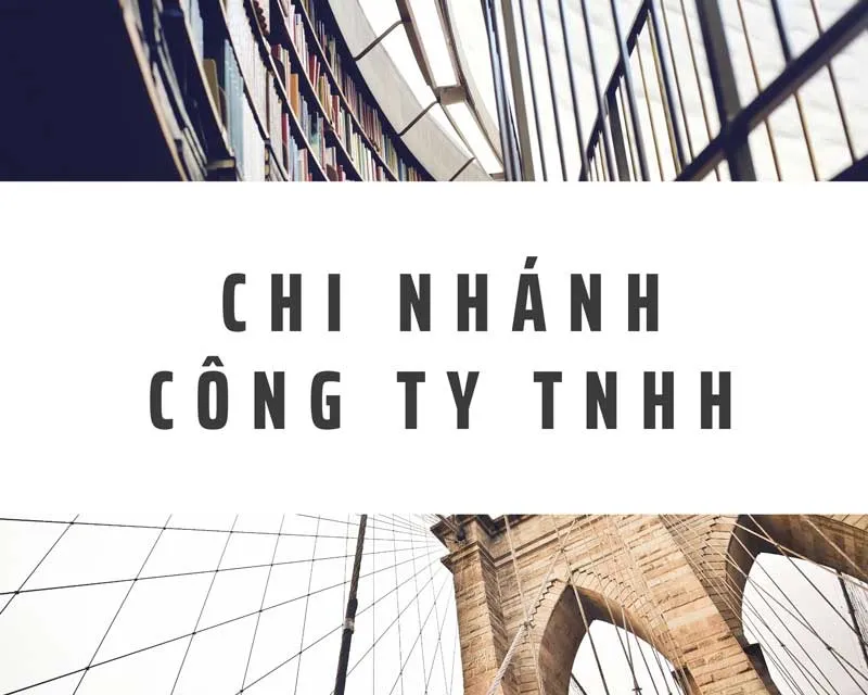 Văn phòng Kế Toán Thuế Bảo Ngọc - Công Ty TNHH Dịch Vụ Kế Toán Bảo Ngọc #1 — MST 3702918815
