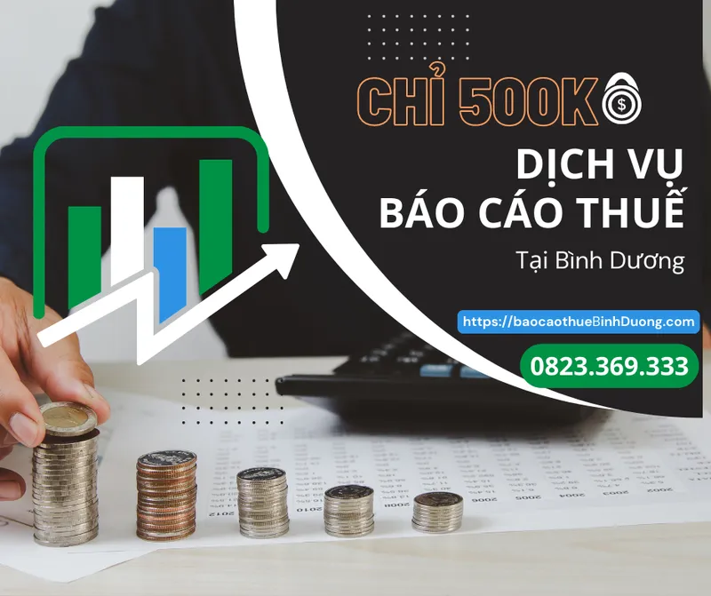 Sản phẩm dich vu bao cao thue1 — Kế Toán Thuế Bảo Ngọc - Công Ty TNHH Dịch Vụ Kế Toán Bảo Ngọc — MST 3702918815